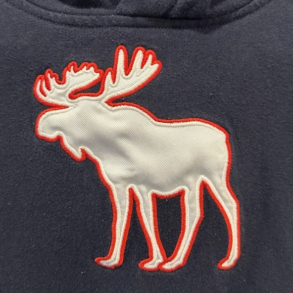 Abercrombie & Fitch Kids Navy Hoodie with Moose Logo Youth 7/8 - Picture 3 of 5